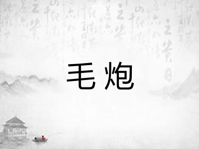 毛炮