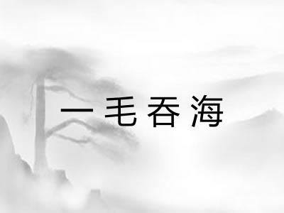 一毛吞海
