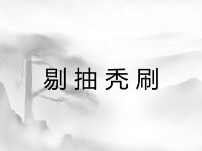 剔抽秃刷