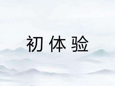 初体验