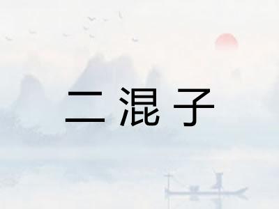 二混子