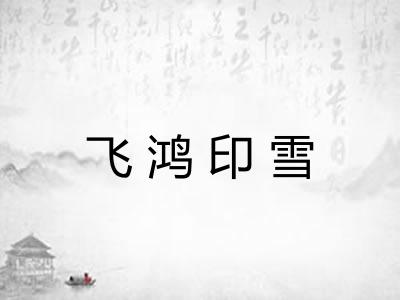 飞鸿印雪 飞鸿印雪