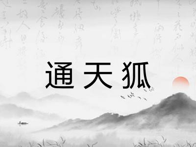 通天狐
