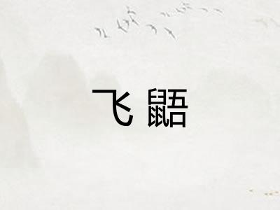 飞鼯