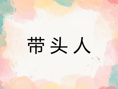 带头人 带头人