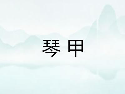 琴甲