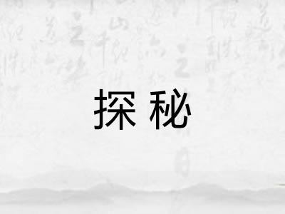 探秘