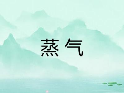 蒸气
