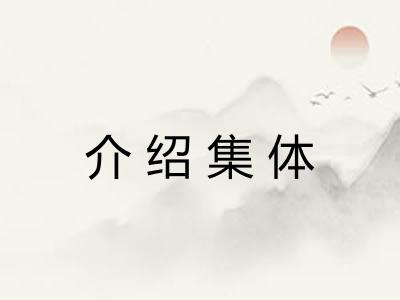 介绍集体