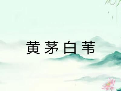 黄茅白苇