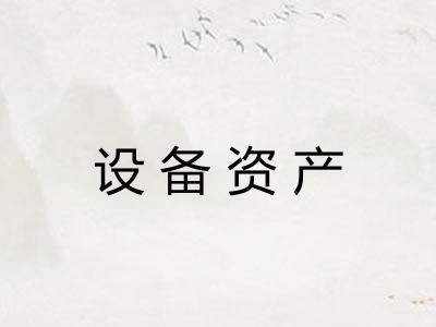设备资产 设备资产