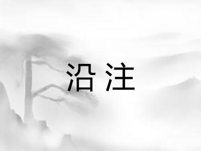 沿注