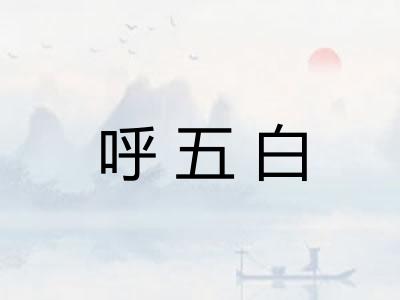 呼五白 呼五白