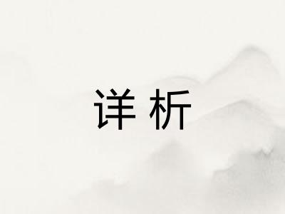 详析