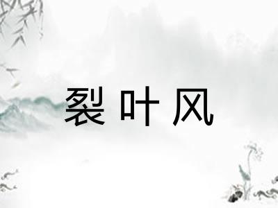 裂叶风