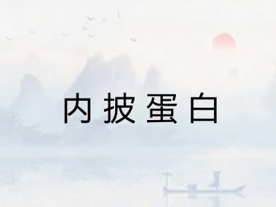 内披蛋白 内披蛋白