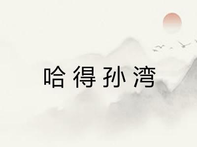 哈得孙湾 哈得孙湾