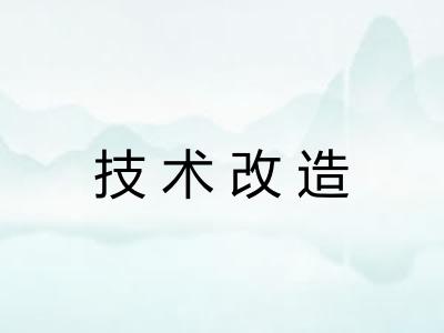 技术改造