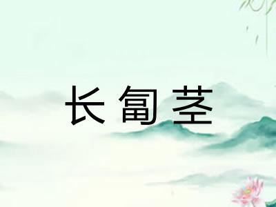 长匐茎