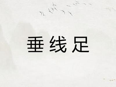 垂线足