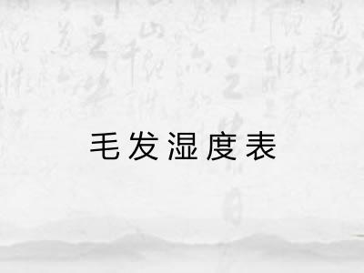 毛发湿度表