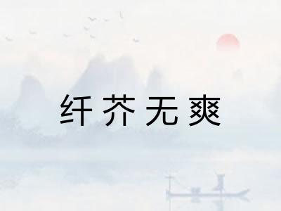 纤芥无爽