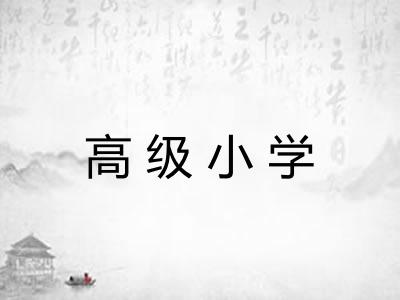 高级小学