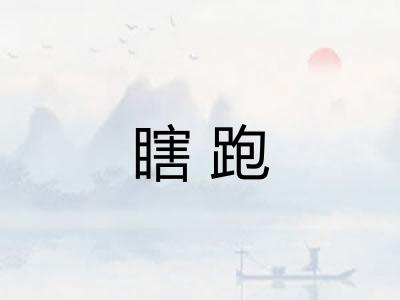 瞎跑 瞎跑