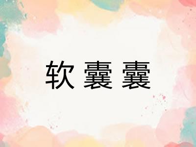 软囊囊 软囊囊