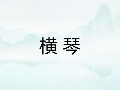 横琴 横琴