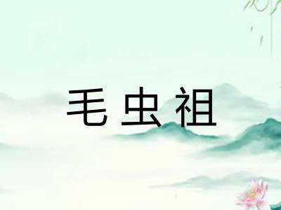 毛虫祖