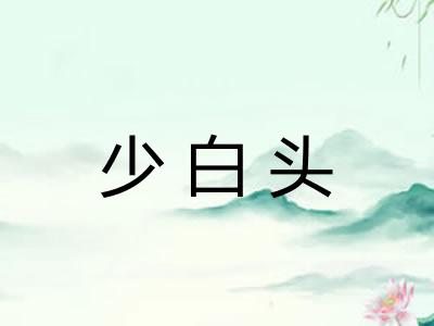 少白头
