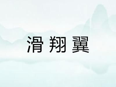 滑翔翼 滑翔翼