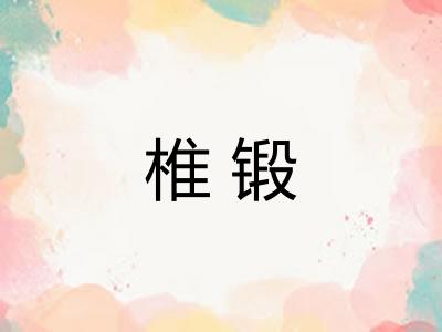 椎锻