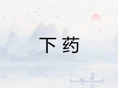 下药