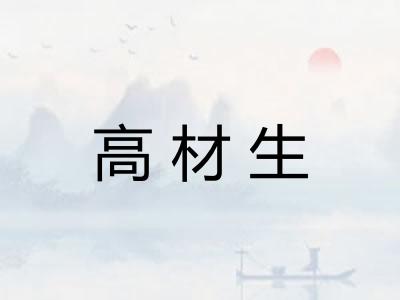 高材生