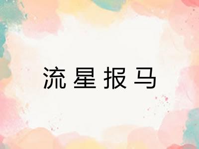 流星报马