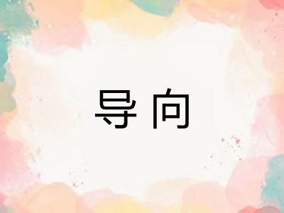 导向