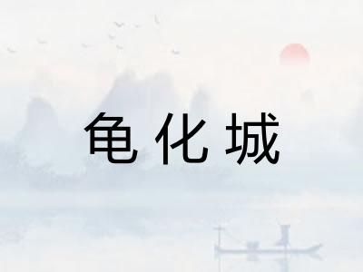 龟化城
