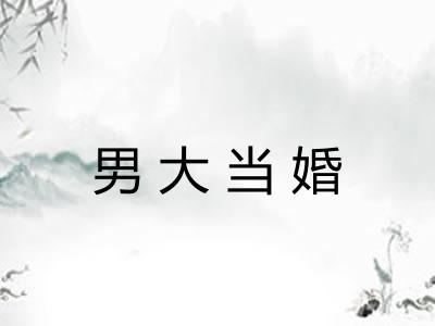 男大当婚