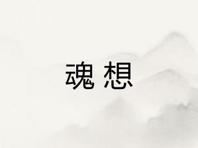 魂想