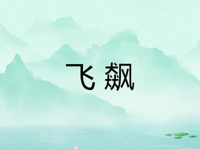 飞飙