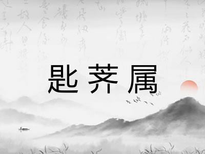匙荠属