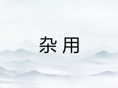 杂用