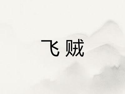飞贼 飞贼