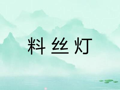 料丝灯