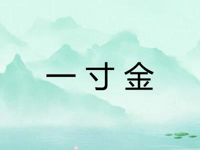 一寸金