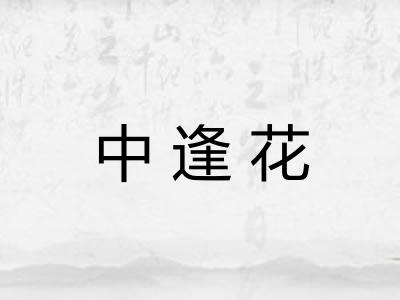 中逢花