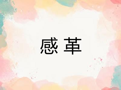感革