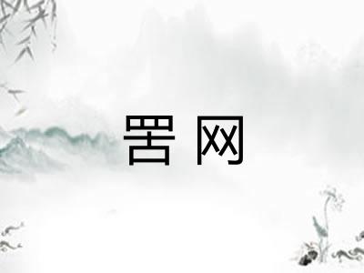 罟网